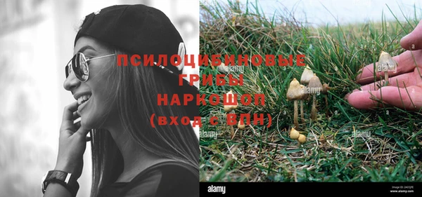 дурь Балахна