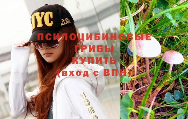 дурь Балахна
